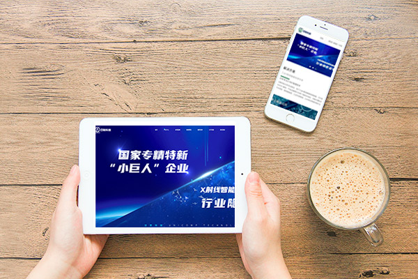 建設營銷型網(wǎng)站時一定要注意簡潔大方